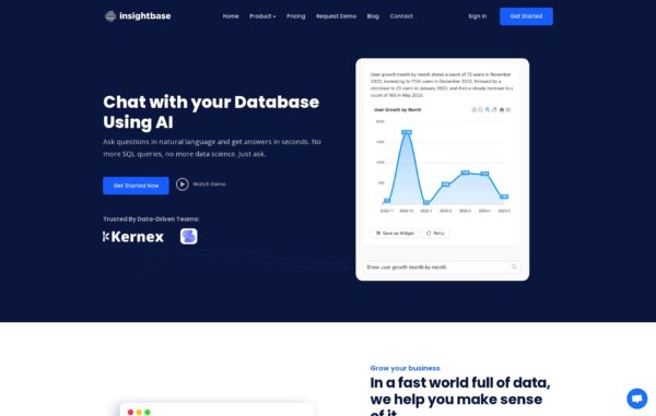InsightBaseAI