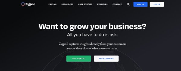 Zigpoll AI Tool